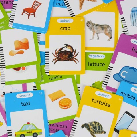 Nauka języka angielskiego czytnik kart do nauki słówek fiszki znikopis niebieski